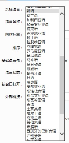 廈門多語言網(wǎng)站建設(shè)